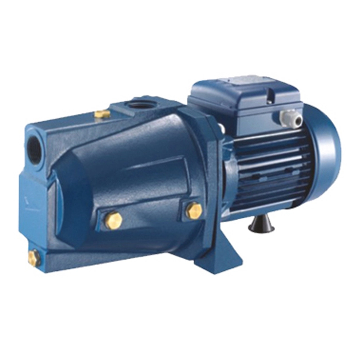 پمپ جتی یک اسب شاندرمن طرح پنتاکس کد 12-آبی پمپ جتی یک اسب شاندرمن طرح پنتاکس کد 12-آبی