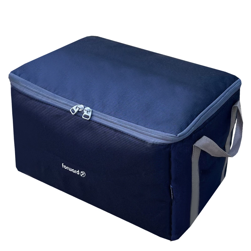 ساک پیک نیک فوروارد مدل FCLT4438 REGULARIZE-آبی ساک پیک نیک فوروارد مدل FCLT4438 REGULARIZE-آبی