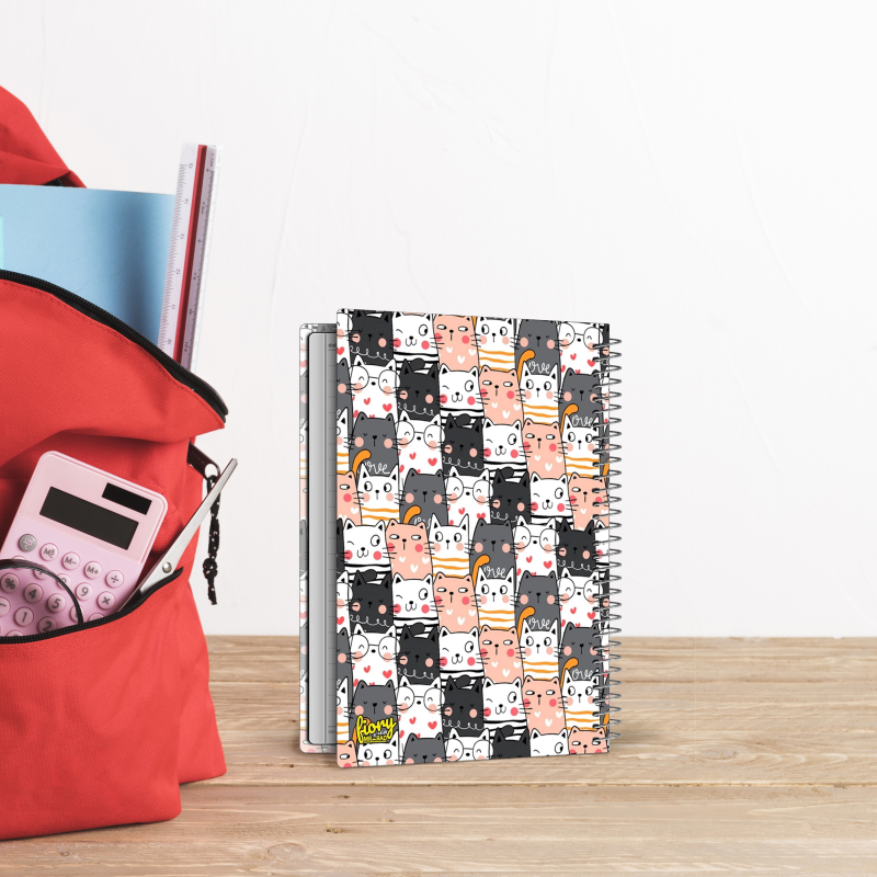 دفتر مشق 50 برگ مستر راد مدل گربه فانتزی کد fiory 2178  دفتر مشق 50 برگ مستر راد مدل گربه فانتزی کد fiory 2178