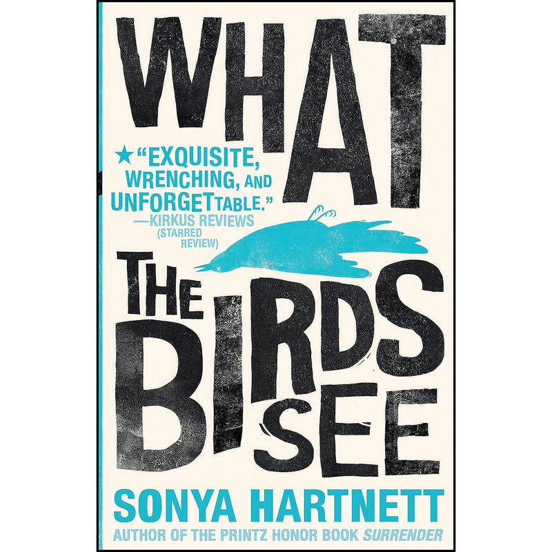 کتاب What the Birds See اثر Sonya Hartnett انتشارات Candlewick کتاب What the Birds See اثر Sonya Hartnett انتشارات Candlewick