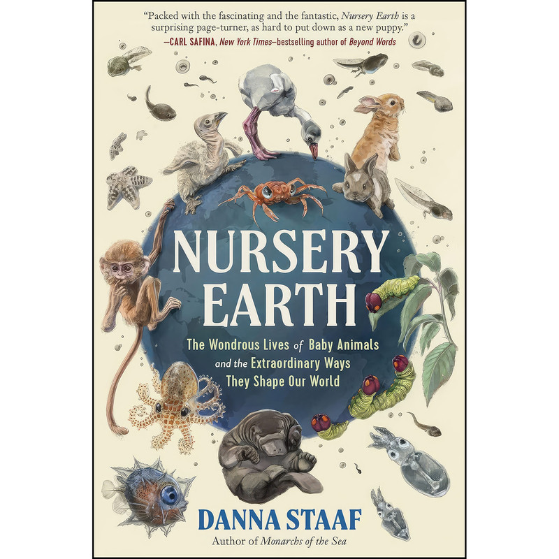 کتاب Nursery Earth اثر جمعي از نويسندگان انتشارات The Experiment کتاب Nursery Earth اثر جمعي از نويسندگان انتشارات The Experiment