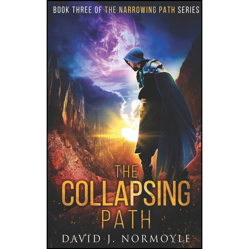 کتاب The Collapsing Path اثر David J. Normoyle انتشارات تازه ها کتاب The Collapsing Path اثر David J. Normoyle انتشارات تازه ها