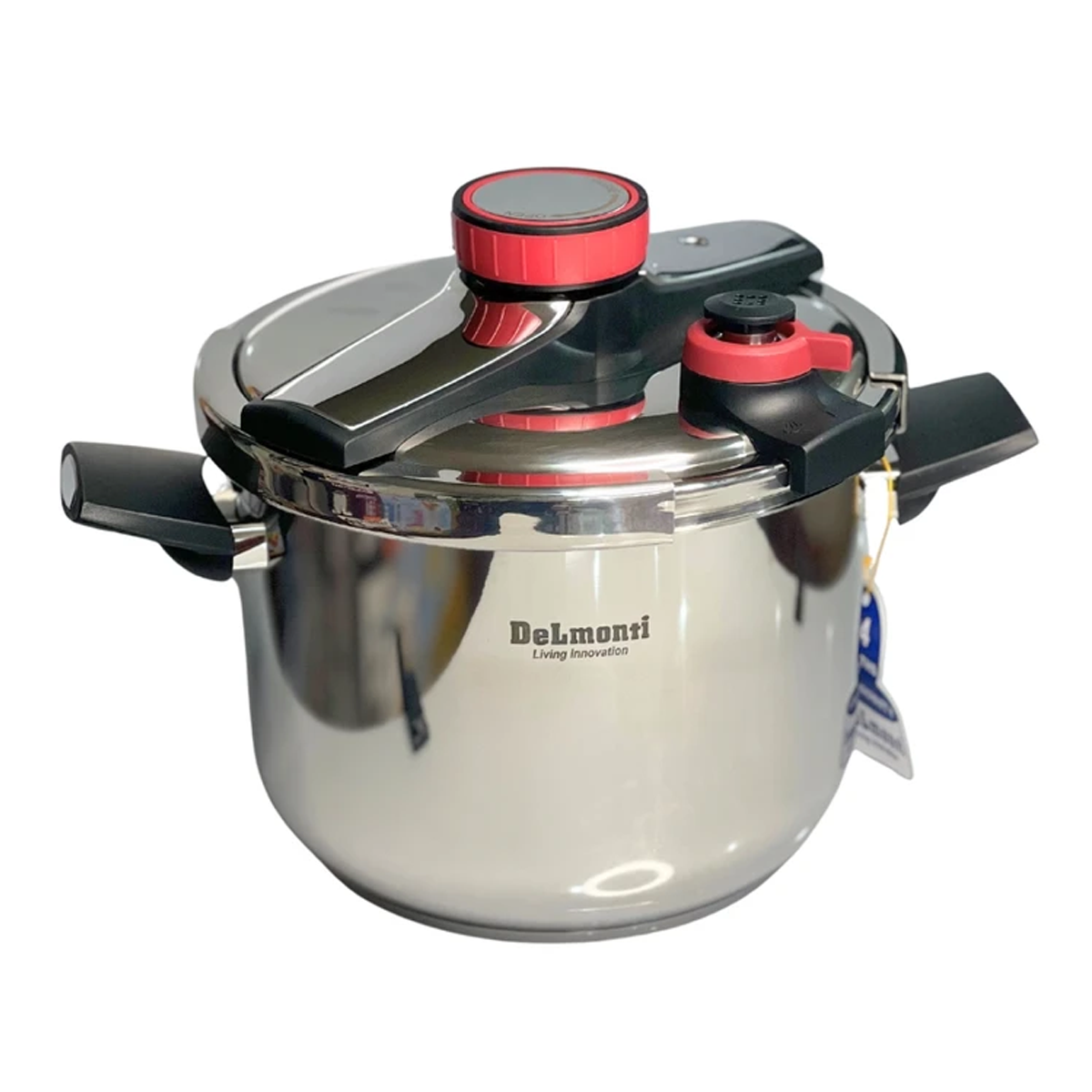 زودپز دلمونتی مدل DL1020 گنجایش 9 لیتر زودپز دلمونتی مدل DL1020 گنجایش 9 لیتر