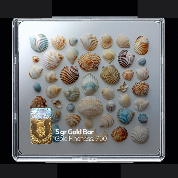 شمش طلا 18 عیار مدوپد مدل صدف کد SG10259 شمش طلا 18 عیار مدوپد مدل صدف کد SG10259