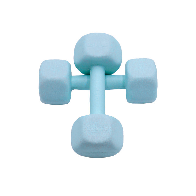 دمبل رادیس فیت مدل RPHF-2000P وزن 2 کیلوگرم بسته بندی دو عددی دمبل رادیس فیت مدل RPHF-2000P وزن 2 کیلوگرم بسته بندی دو عددی