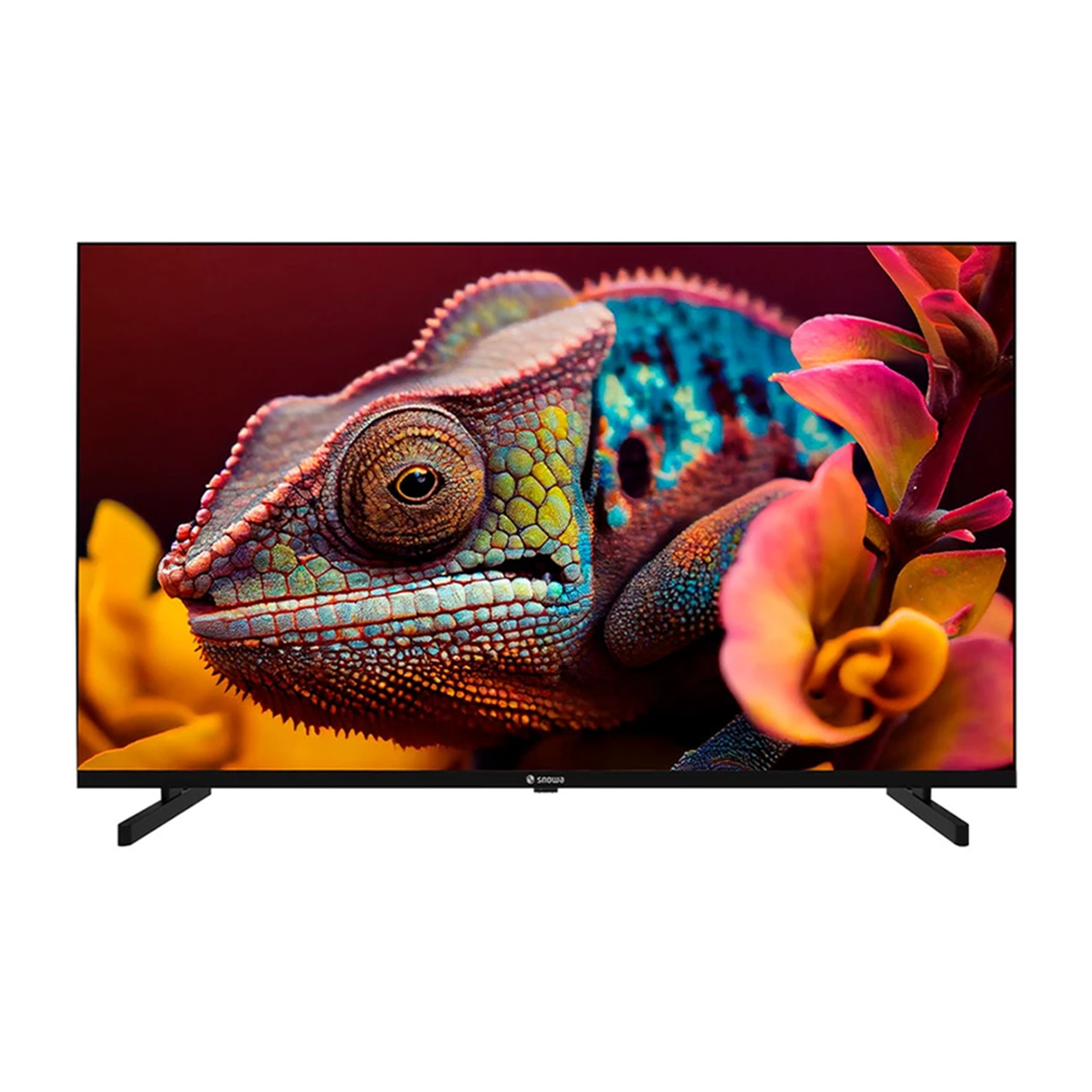 تلویزیون اسنوا LED سایز 43 اینچ مدل SSD-43SK450DI