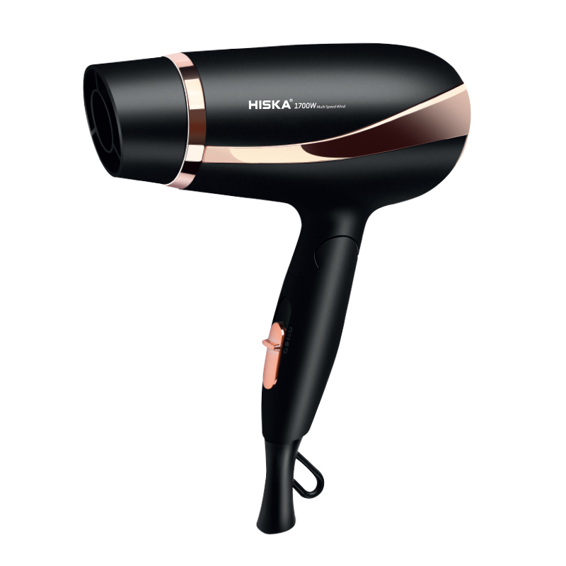 سشوار هیسکا مدل H5250 سشوار هیسکا مدل H5250