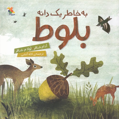 کتاب بخاطر یک دانه بلوط نشر مبتکران، میچکا کتاب بخاطر یک دانه بلوط نشر مبتکران، میچکا