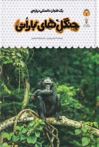 کتاب یک فنجان دانستنی دربارهی: جنگلهای بارانی نشر نوشته کتاب یک فنجان دانستنی دربارهی: جنگلهای بارانی نشر نوشته