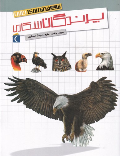 کتاب شگفتیهای جهان: پرندگان شکاری نشر محراب قلم کتاب شگفتیهای جهان: پرندگان شکاری نشر محراب قلم