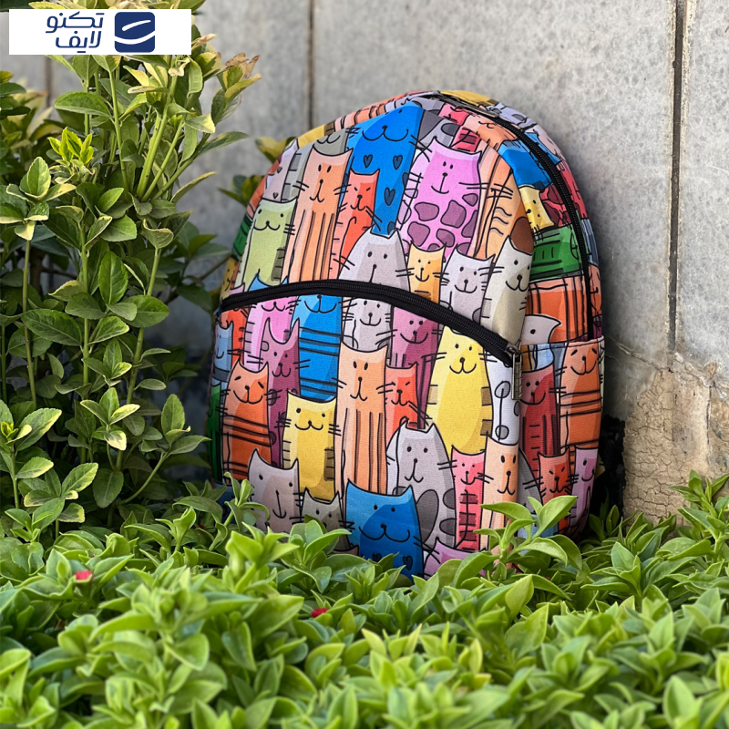 کوله پشتی بچگانه فوروارد کد FCLT99903 KITTEN CAT کوله پشتی بچگانه فوروارد کد FCLT99903 KITTEN CAT