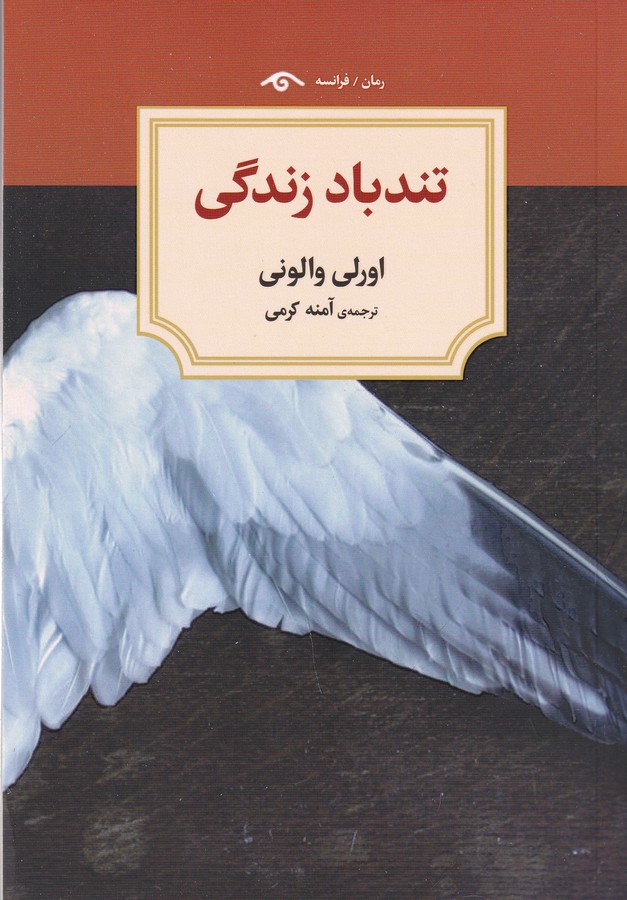 کتاب تندباد زندگی نشر کتاب دیدآور کتاب تندباد زندگی نشر کتاب دیدآور