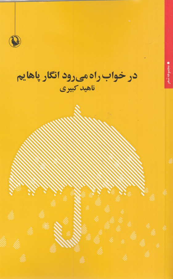 کتاب در خواب راه میرود انگار پاهایم نشر مروارید کتاب در خواب راه میرود انگار پاهایم نشر مروارید