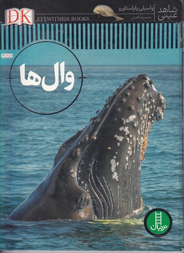 کتاب شاهد عینی: وال‌ها نشر نردبان