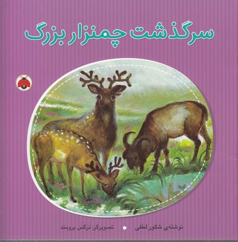 کتاب سرگذشت چمنزار بزرگ نشر شهر قلم کتاب سرگذشت چمنزار بزرگ نشر شهر قلم