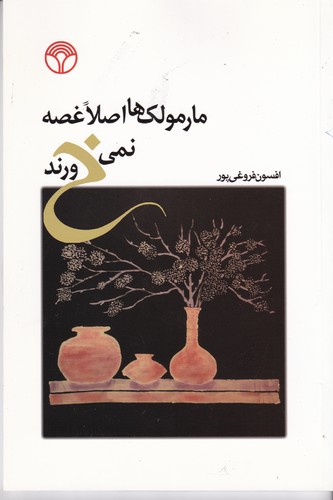 کتاب مارمولک‌ها اصلا غضه نمی‌خورند نشر پژواک