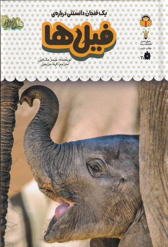 کتاب یک فنجان دانستنی دربارهی 6: فیلها نشر نوشته کتاب یک فنجان دانستنی دربارهی 6: فیلها نشر نوشته