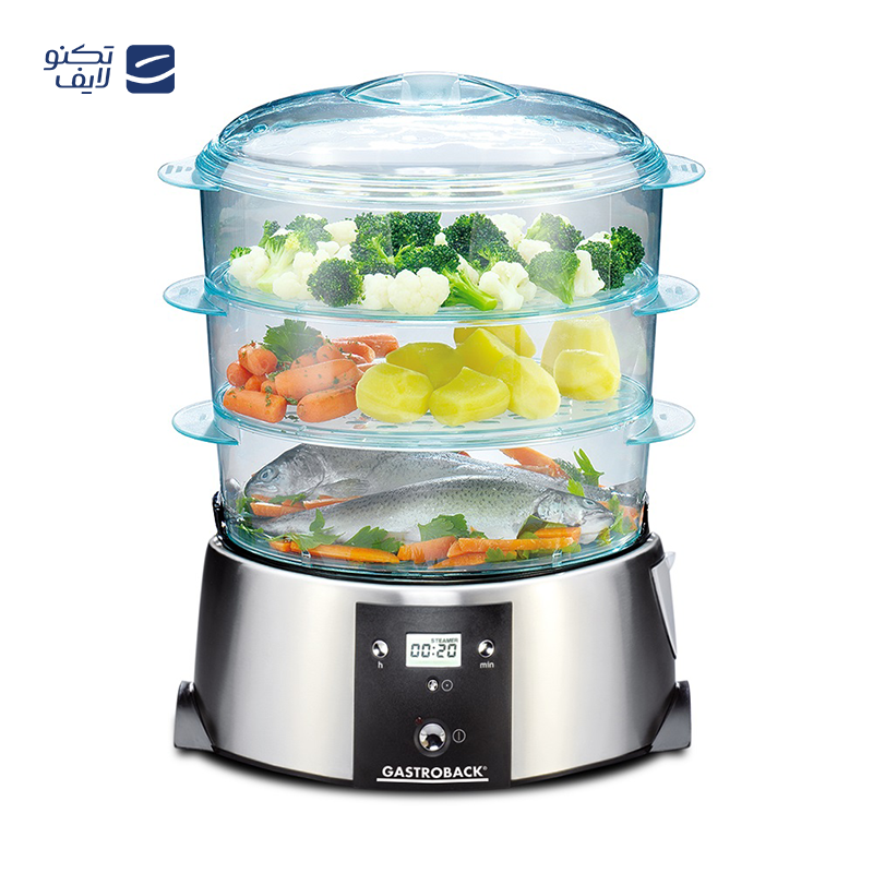 gallery- بخارپز تفال مدل VC1398 copy.png