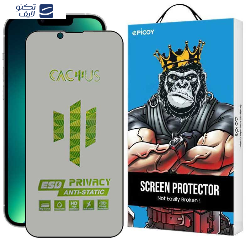 gallery-محافظ صفحه نمایش حریم شخصی گوشی اپل iPhone 16e - 14 - 13 Pro - 13 اپیکوی مدل Cactus-ESD-Privacy copy.png