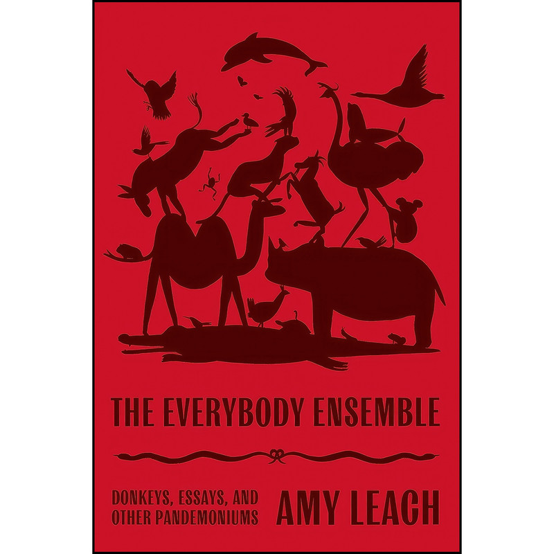 کتاب The Everybody Ensemble اثر Greg Pak and Amy Leach انتشارات Farrar, Straus and Giroux