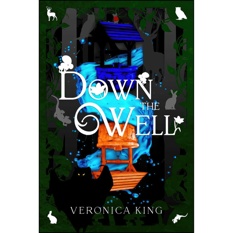 کتاب Down The Well اثر Veronica King انتشارات Emerge