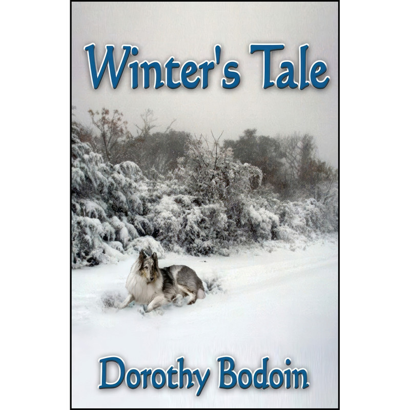 کتاب Winters Tale اثر Dorothy Bodoin انتشارات تازه ها کتاب Winters Tale اثر Dorothy Bodoin انتشارات تازه ها