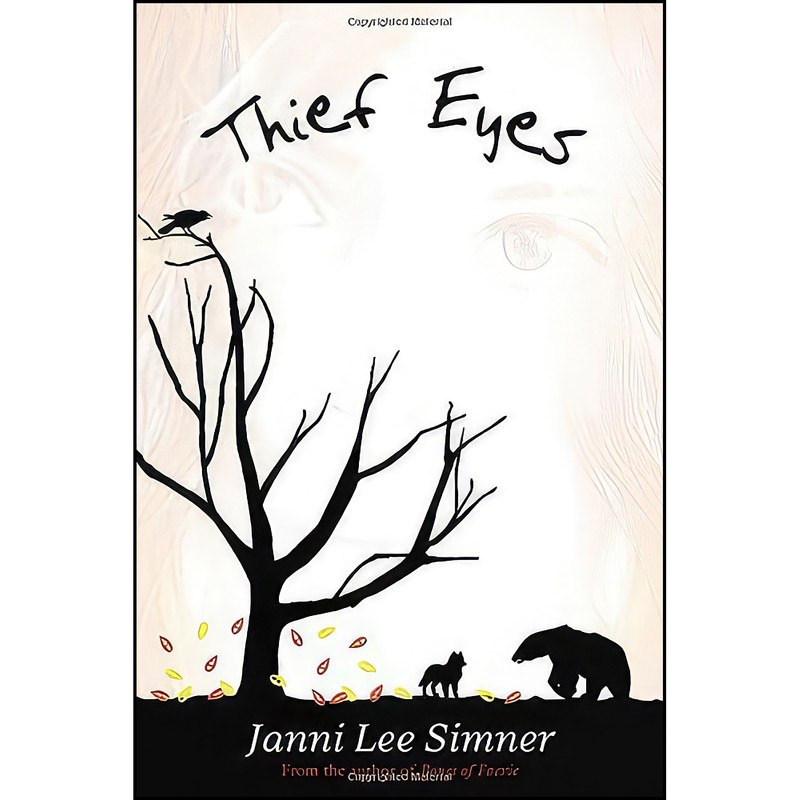 کتاب Thief Eyes اثر Janni Lee Simner انتشارات Bluefire