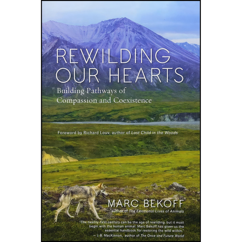 کتاب Rewilding Our Hearts اثر Marc Bekoff and Richard Louv انتشارات New World Library کتاب Rewilding Our Hearts اثر Marc Bekoff and Richard Louv انتشارات New World Library
