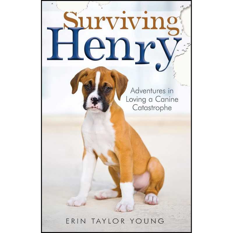 کتاب Surviving Henry اثر Erin Taylor Young انتشارات Revell