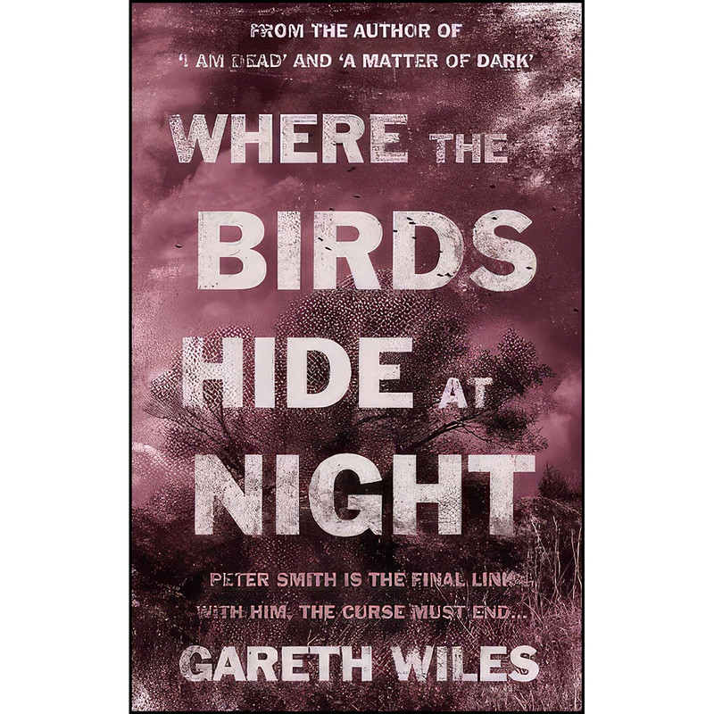 کتاب Where the Birds Hide at Night اثر Gareth Wiles انتشارات Troubador Publishing Ltd