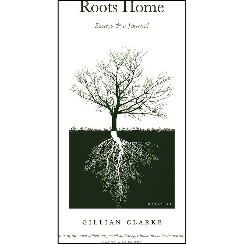 کتاب Roots Home اثر Gillian Clarke انتشارات Lives and Letters کتاب Roots Home اثر Gillian Clarke انتشارات Lives and Letters