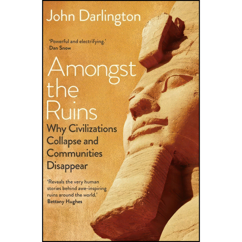 کتاب Amongst the Ruins اثر John Darlington انتشارات Yale University Press کتاب Amongst the Ruins اثر John Darlington انتشارات Yale University Press