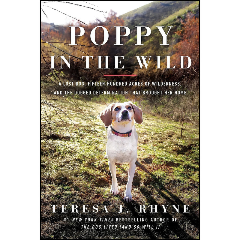 کتاب Poppy in the Wild اثر Teresa Rhyne انتشارات Pegasus Books