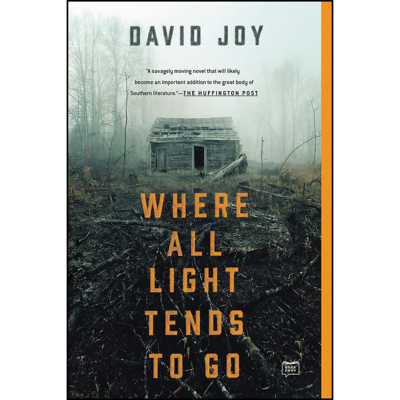 کتاب Where All Light Tends to Go اثر David Joy انتشارات G.P. Putnams Sons