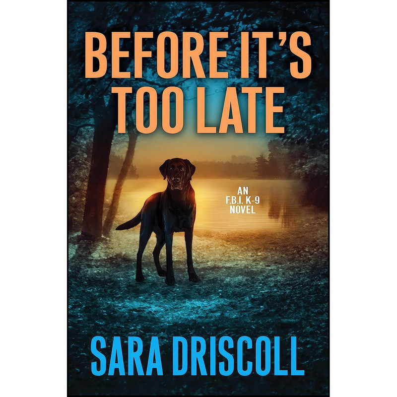 کتاب Before Its Too Late اثر Ann Vanderlaan and Jen J. Danna انتشارات Kensington کتاب Before Its Too Late اثر Ann Vanderlaan and Jen J. Danna انتشارات Kensington