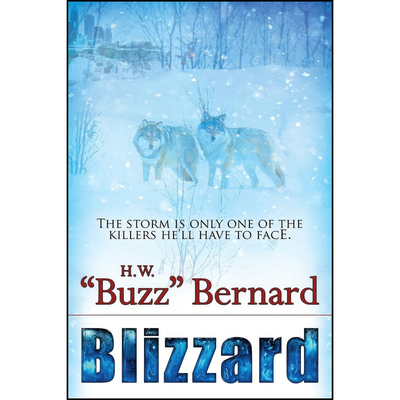 کتاب Blizzard اثر Harold W. Bernard انتشارات Bell Bridge Books کتاب Blizzard اثر Harold W. Bernard انتشارات Bell Bridge Books