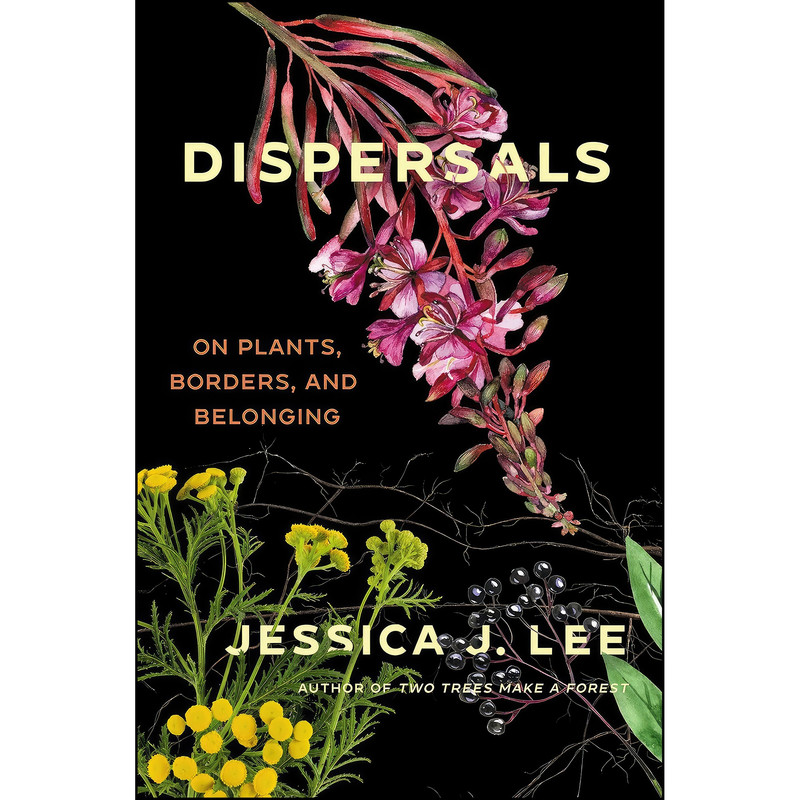 کتاب Dispersals اثر Jessica J. Lee انتشارات Catapult کتاب Dispersals اثر Jessica J. Lee انتشارات Catapult