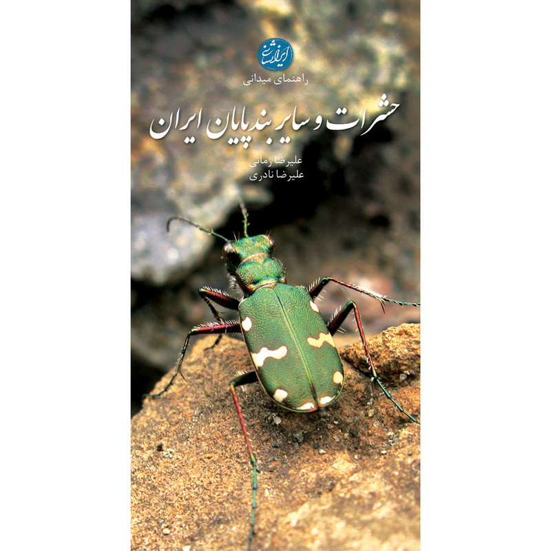 کتاب حشرات و سایر بندپایان ایران اثر علیرضا زمانی و علیرضا نادری انتشارات ایرانشناسی کتاب حشرات و سایر بندپایان ایران اثر علیرضا زمانی و علیرضا نادری انتشارات ایرانشناسی