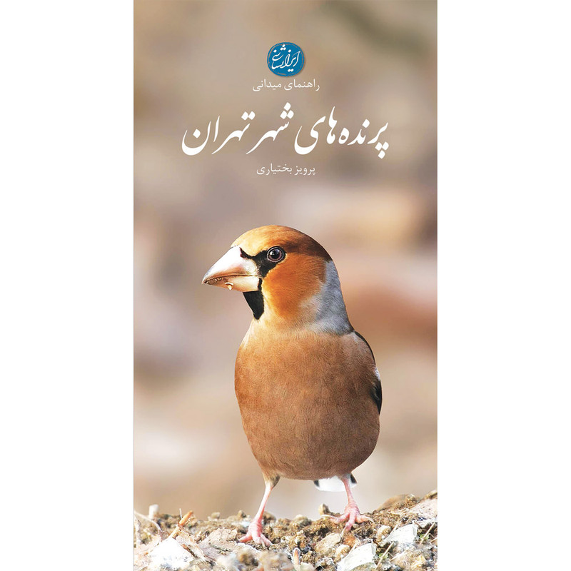 کتاب پرندههای شهر تهران اثر پرویز بختیاری انتشارات ایرانشناسی کتاب پرندههای شهر تهران اثر پرویز بختیاری انتشارات ایرانشناسی