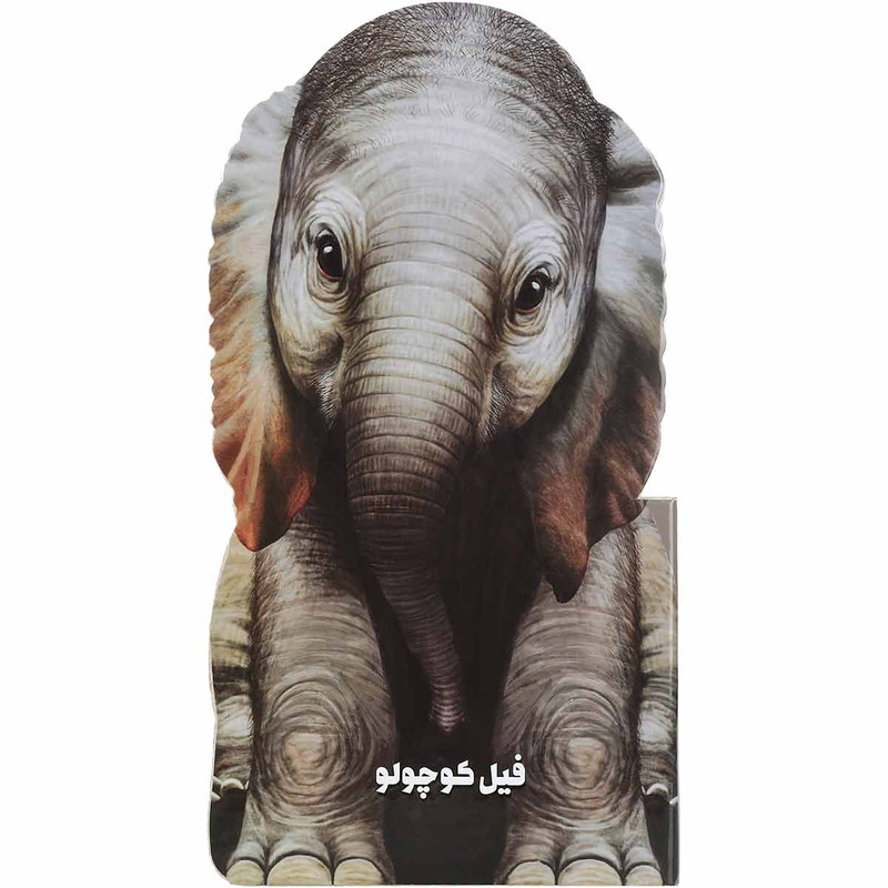 کتاب فیل کوچولو مجموعه حیوانات کوچک اثر جیووانی کاویزل انتشارات بین المللی گاج کتاب فیل کوچولو مجموعه حیوانات کوچک اثر جیووانی کاویزل انتشارات بین المللی گاج