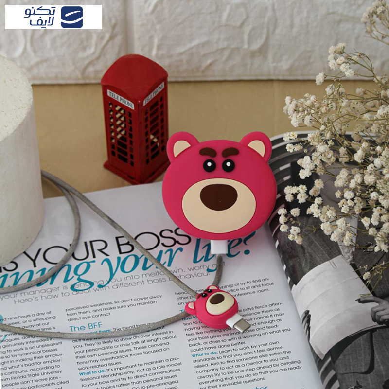 محافظ کابل و شارژر دیواری سانیوان مدل عروسکی طرح خرس لوتسو مجموعه 4 عددی