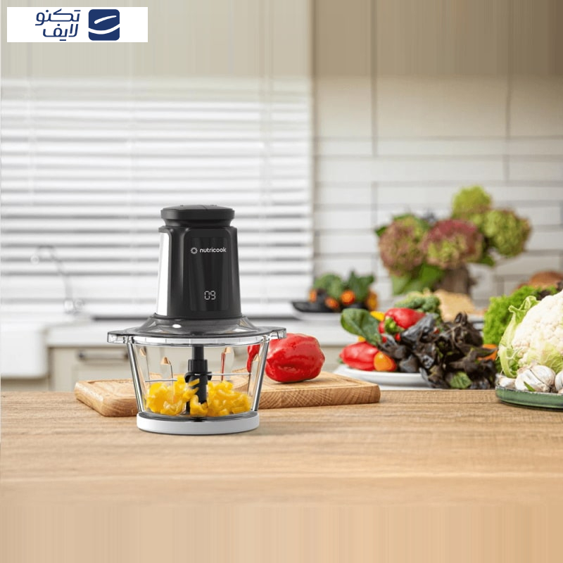 خردکن نوتریکوک مدل CCH2000 خردکن نوتریکوک مدل CCH2000