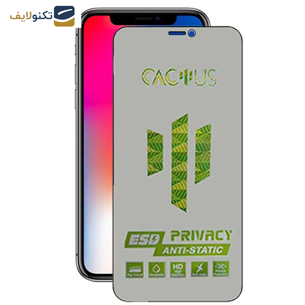 محافظ صفحه نمایش حریم شخصی اپیکوی مدل Cactus-ESD-Privacy مناسب برای گوشی موبایل اپل iPhone Xs/ X  محافظ صفحه نمایش حریم شخصی اپیکوی مدل Cactus-ESD-Privacy مناسب برای گوشی موبایل اپل iPhone Xs/ X
