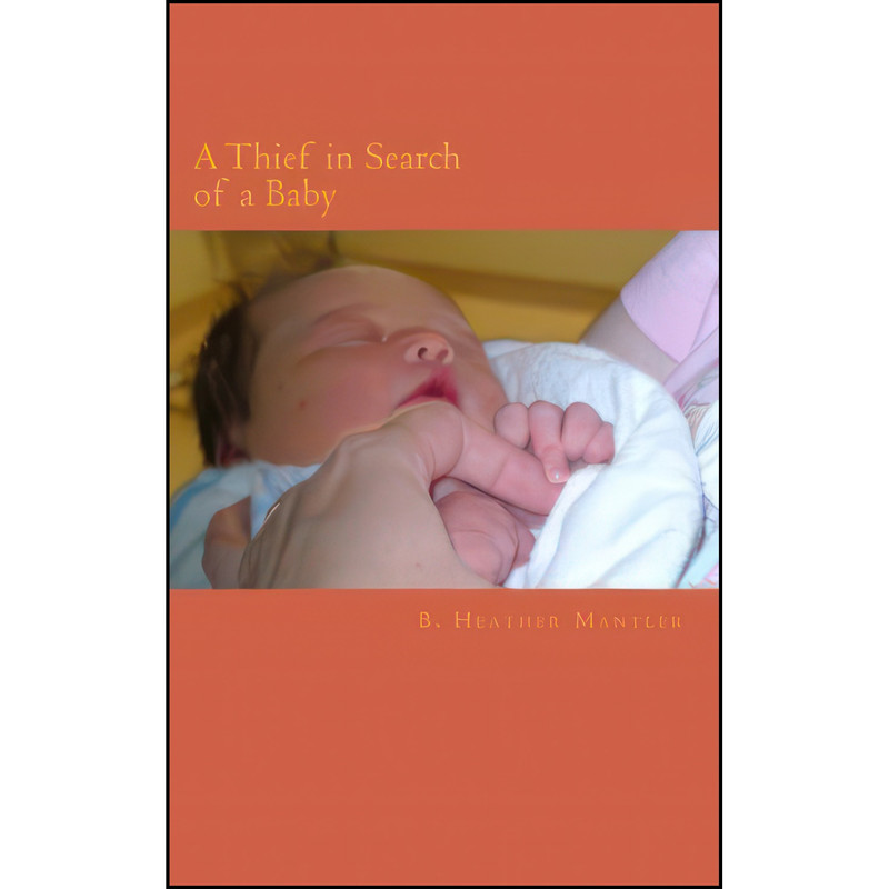 کتاب A Thief in Search of a Baby اثر B. Heather Mantler انتشارات تازه ها