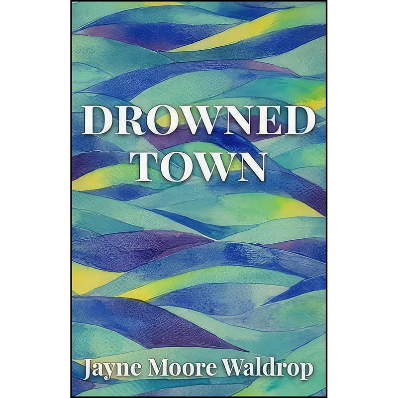 کتاب Drowned Town اثر Jayne Moore Waldrop انتشارات تازه ها کتاب Drowned Town اثر Jayne Moore Waldrop انتشارات تازه ها