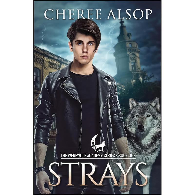 کتاب Werewolf Academy Book 1 اثر Cheree Alsop and Cheree Lynn Alsop انتشارات تازه ها کتاب Werewolf Academy Book 1 اثر Cheree Alsop and Cheree Lynn Alsop انتشارات تازه ها