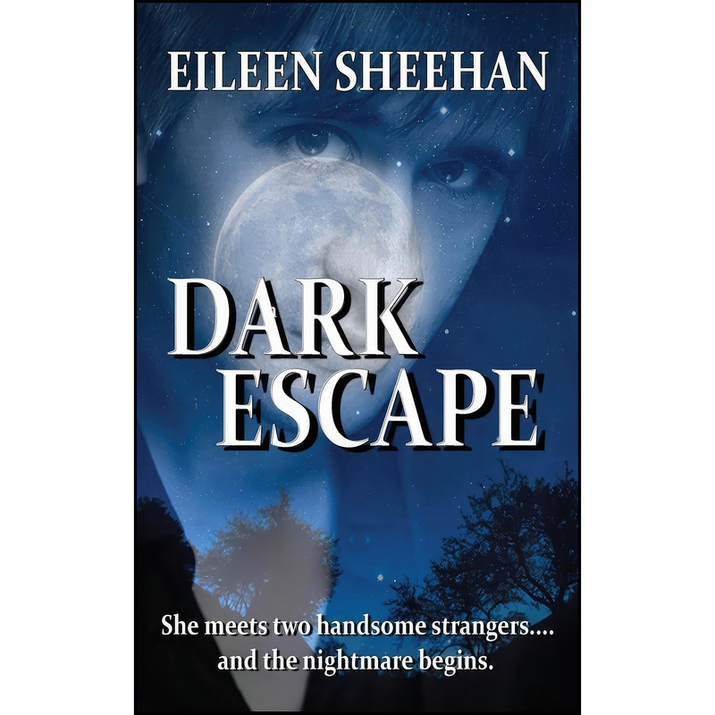 کتاب Dark Escape اثر Eileen Sheehan انتشارات تازه ها کتاب Dark Escape اثر Eileen Sheehan انتشارات تازه ها