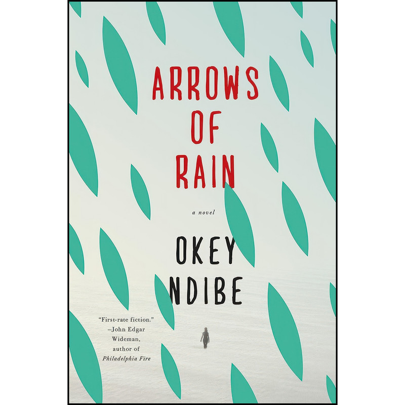 کتاب Arrows of Rain اثر Okey Ndibe انتشارات Soho Press