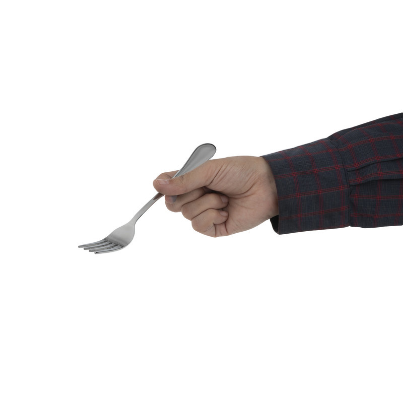 سرویس قاشق و چنگال 30 پارچه صنایع استیل ایران مدل پارما کد 888