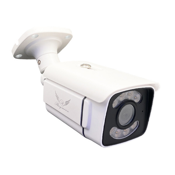 دوربین مداربسته تحت شبکه رایمون مدل RB-5MP-8330-IP